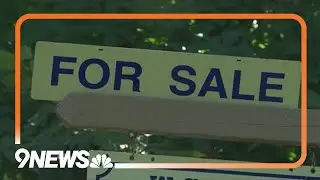 Millennials the most active generation in the real estate market