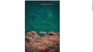 How To Make Images Responsive Using CSS.