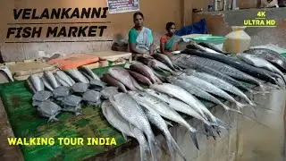 Velankanni Fish Market Oct 2024 | Vailankanni Fish Market | Not Happy With Few Seller Reaction