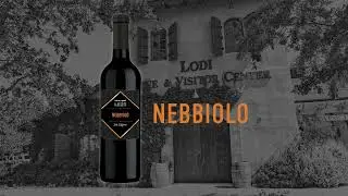 Limited Edition Wines 2023