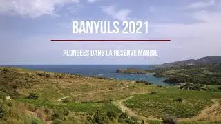 Plongées à Banyuls 2021