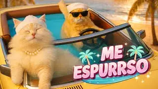Espresso Cat Version | Meow Beach Party Music Video