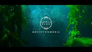 ' DIVERSITY ' | An experimental nature documentary theme | Sonic Flux - Music for Media