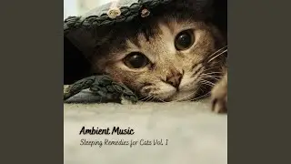Calm Sleep Ambience