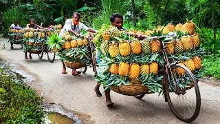 Pineapple Production Processing Factory To make Juice, How To Make Grape Syrup