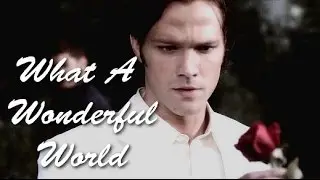 Supernatural || This is my life, I love it.