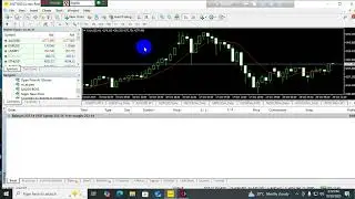 Account History show ( High profitable EA result) Forex- Live Trade