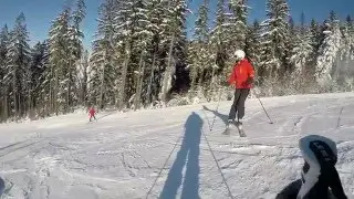 ski carving 2016 // Schöneck, Eibenstock, Carlsfeld // espeed