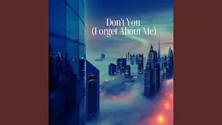 Don't You (Forget About Me)