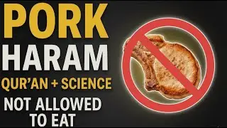 Why Pork Is Haram in Islam | Quran, Hadith & Science Explained (Respectful)
