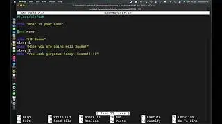 Scripting Basic's: 2