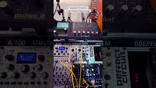 Waldorf Pulse2 just keeps delivering, awesome little synth!