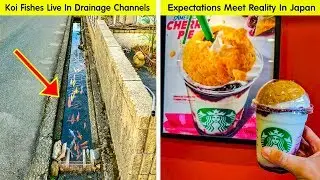 Photos That Prove Japan Is A Country From Another Planet