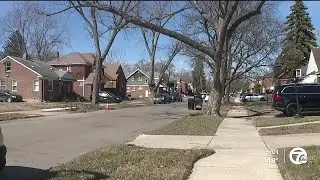 Bailiff's team shot as they prepared to execute an eviction on Detroit's west side