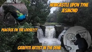 Newcastle Upon Tyne - Jesmond Dene & Osborne Road On A Wet & Rainy Day