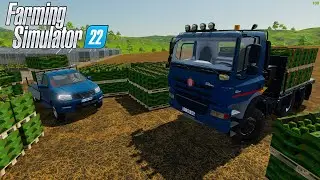 Нанял нового сотрудника на ферму, покупаем ему транспорт в FARMING SIMULATOR 22 #42