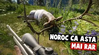 DAU LA PLAMANI SI PRIMESC SCOR MARE! The Hunter Multiplayer