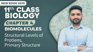 11th Class Biology Chapter 4 | Structural Levels of Protein, Primary Structure | 11th New Book 2025