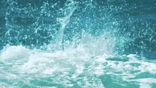 aussieBum - BEEBEE promo
