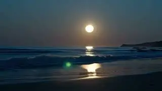 EMP - Epic Music Paradise : Ocean Waves - IA Music