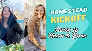 Top 10 Herbs for Beginners
