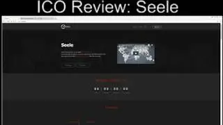ICO review: Seele