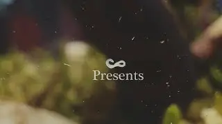 Complex Ecosystem