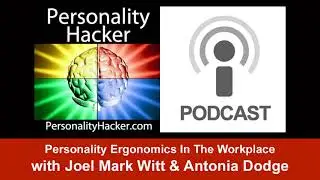 Personality Ergonomics In The Workplace | Audio Ep 67 | PersonalityHacker.com