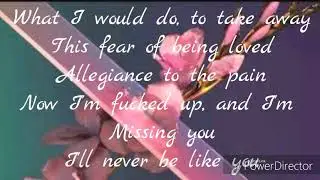 Flume ft. Kai- Never Be Like You (LYRICS)