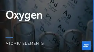 All About Oxygen (O)