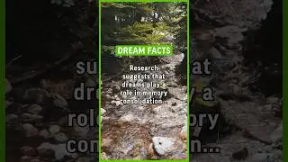 Research suggests that dreams play a role in memory consolidation helping to solidify&hellip; #dream