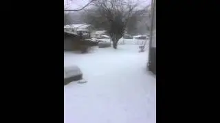 Daisy LOu Playing In The snow