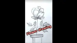 Flower and flower pot drawing #trending #art #sketch #flower 