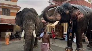കൂടൽമാണിക്യം മേഘർജുനനും 🔥സുനിചേട്ടനും ഇന്ന് പാറമേക്കാവിൽ വന്നപ്പോൾ
