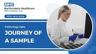Pathology labs: Journey of a sample
