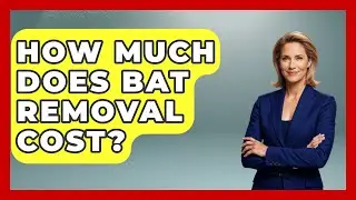 How Much Does Bat Removal Cost? - High Stakes Jobs