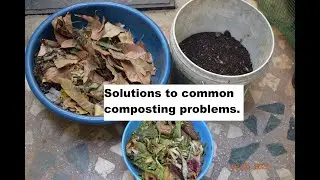 తెలుగులో Aerobic Composting Problems and Solutions  | ఏరోబిక్ కంపోస్టింగ్ సమస్యలు మరియు పరిష్కారాలు