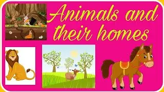 Animals and Their Homes in English | Kids learning | animal names for children | Nursery |JumJumKids