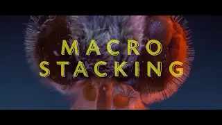 Macro Stacking with Microscope Lens and Any Camera.