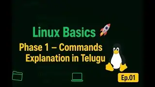 Linux Basic Commands Explained in Telugu | Beginner Friendly Linux Tutorial | #linux