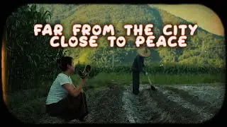 Peaceful Life in the Japanese Countryside – Lofi Music Away From the City Noise
