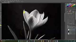 HOW TO COLOR A BLACK AND WHITE FLOWER
