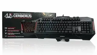 [KOREAGEARS.COM] CERBERUS Keyboard Backlight Mode