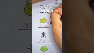Grading Jennie&rsquo;s test #asmr #school #teacher #professor #grading #papers