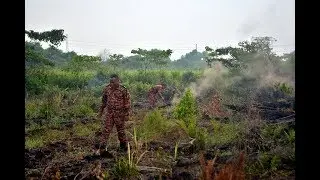 MESTECC to focus on curbing open burning