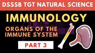 Immunology Lecture 3 for DSSSB TGT NATURAL SCIENCE#immunologydsssb #immunology