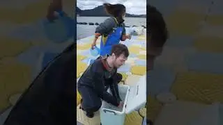 Woman gives Connor a warm bath