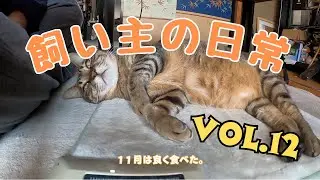 The daily life of a pet owner...Vol.12