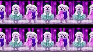 Cute doggies dance Sponsored by klasky csupo gamavision effects 