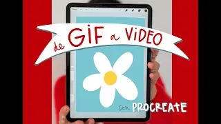 CONVIERTE UN GIF DE PROCREATE EN VIDEO